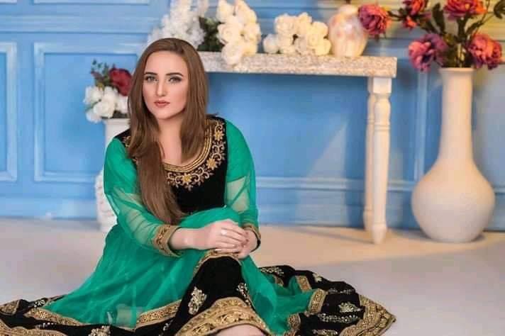 Hareem Shah’s biography, age, personal details, family, career, education, facts & figures, Net worth and controversy.