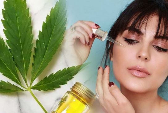 CBD Oil and the Benefits for You