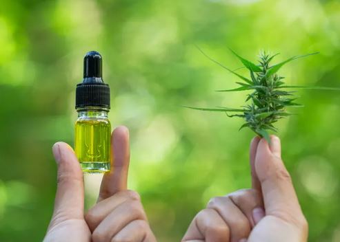 What You Need To Know Before Using CBD Oil