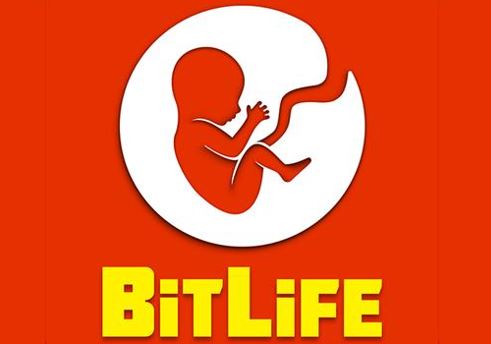 What is BitLife