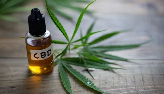 How to Choose CBD Products