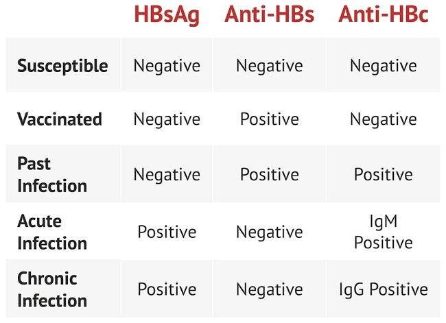 What is the Hepatitis B antibody test, and how does it work