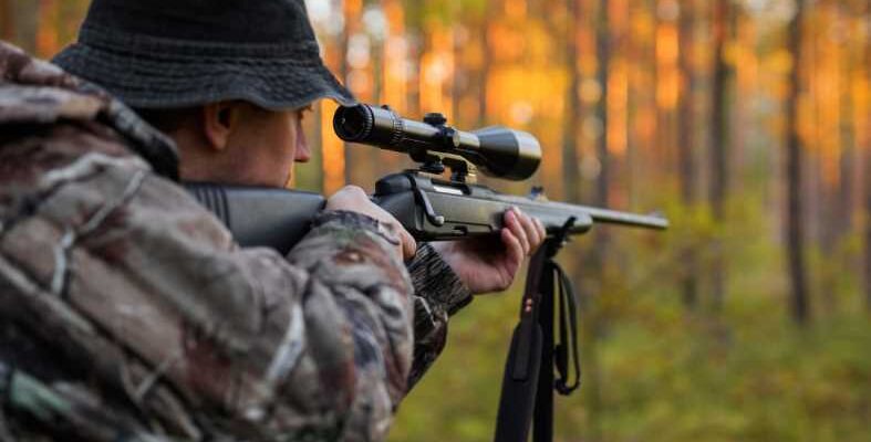 How to Choose the Best Air Rifle for Your Needs
