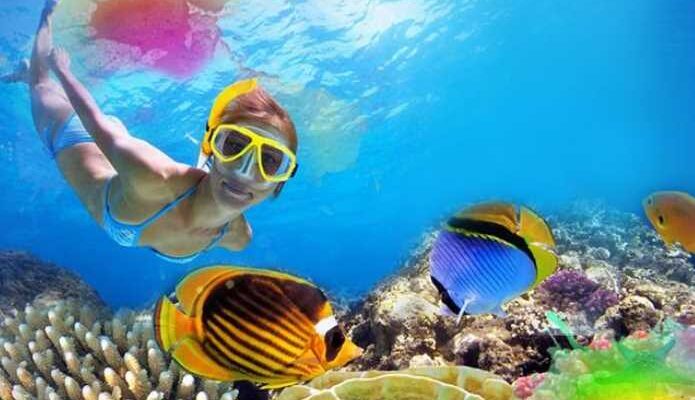 Best Snorkel Spots in Cozumel
