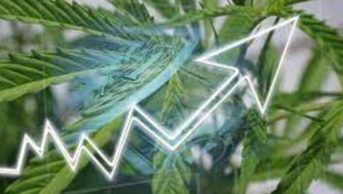 Cannabis Trends to Watch This 2022