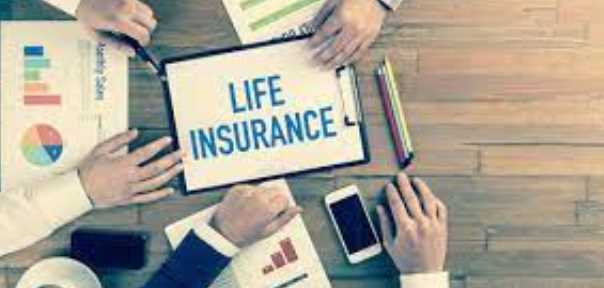 Get Answers to These 6 Questions to Buy the Best Term Life Insurance