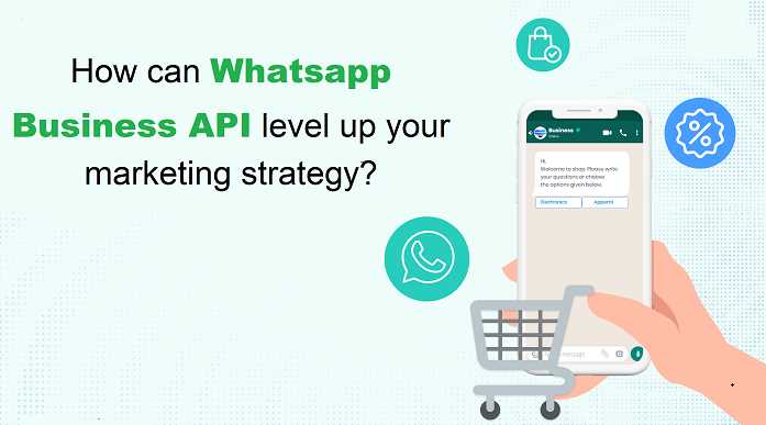 WhatsApp Business API level up your marketing strategy