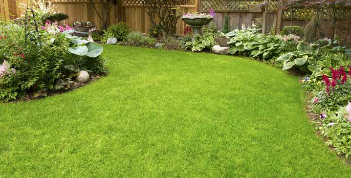 Top 10 Best Lawn Care near North Canton