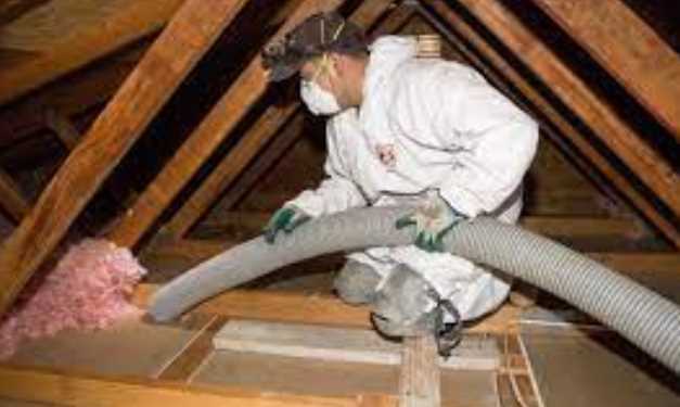 Why Attic Insulation Removal Is Necessary