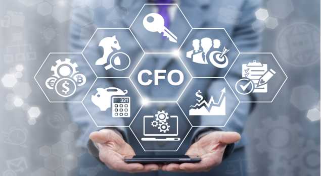 Virtual CFO Software Helps Small Businesses