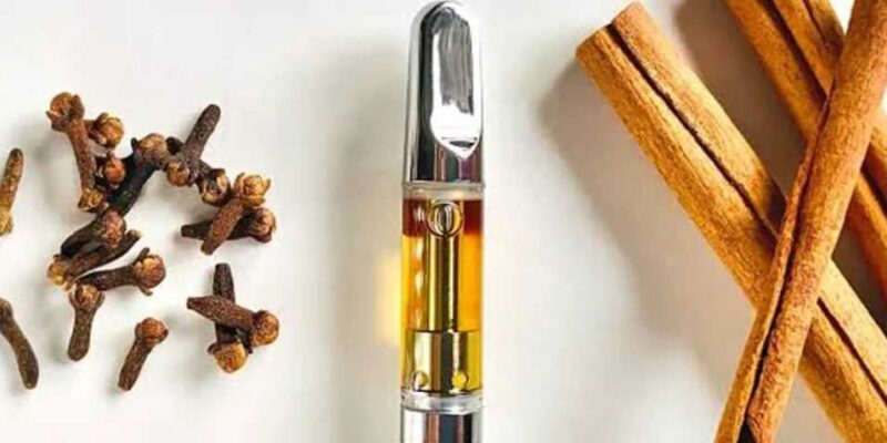 What Should You Look For When Choosing CBD Vape Oil