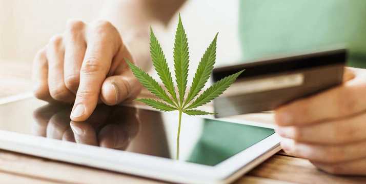 CONSIDERATIONS WHEN BUYING CANNABIS ONLINE
