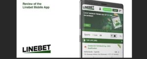 Linebet Download App for iOS & Cricket