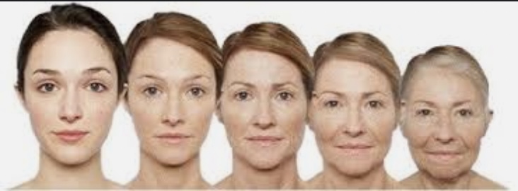 How Your Face Ages Over Time