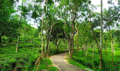 Nature Trails and Green Escapes
