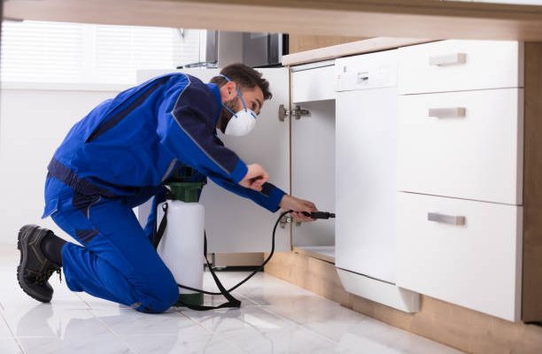 Discover Local Pest Control